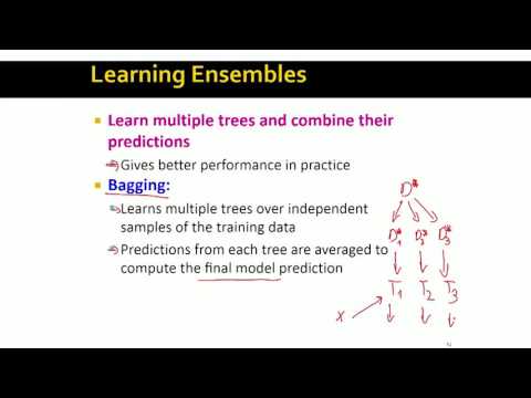 Lecture 77 — Decision Trees - Conclusion | Stanford University