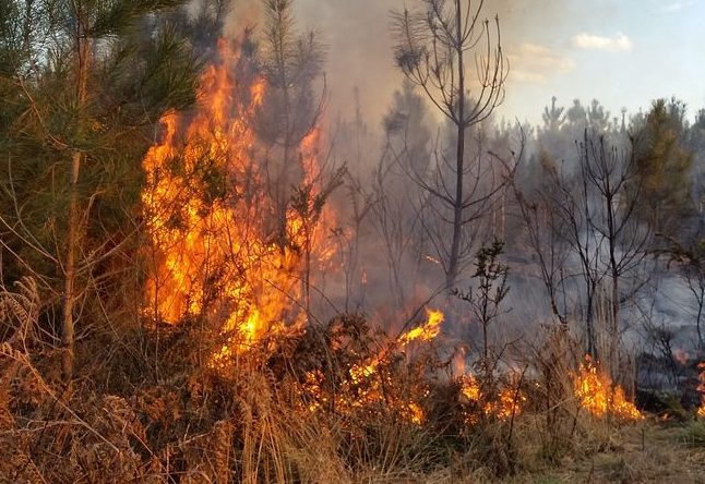 Un sistema per il controllo degli incendi boschivi
