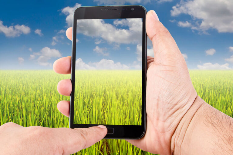 Big Data e Iot: strumenti per crescere e per fare innovazione