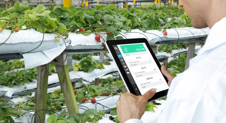 “Coltiva dati, raccogli valore”: i big data al servizio di agricoltura 4.0