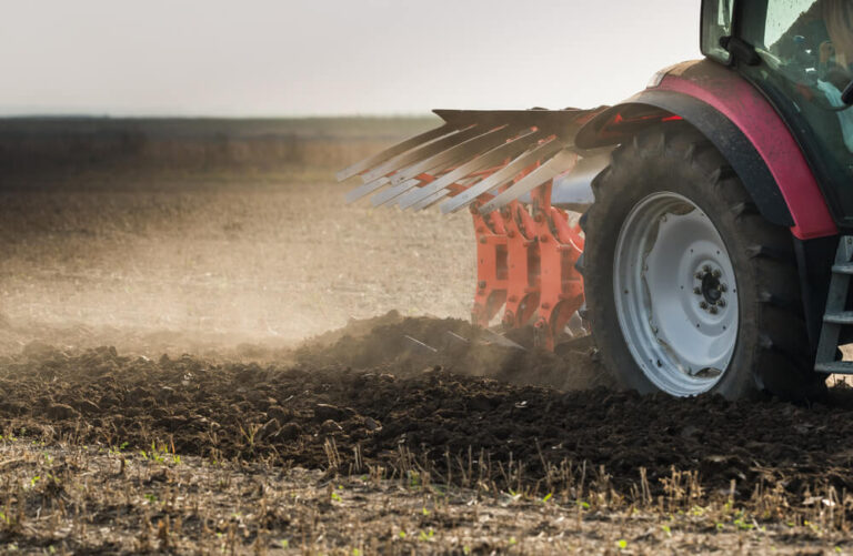 Agrifood, il dominio dei big fra Big Data e consolidamento